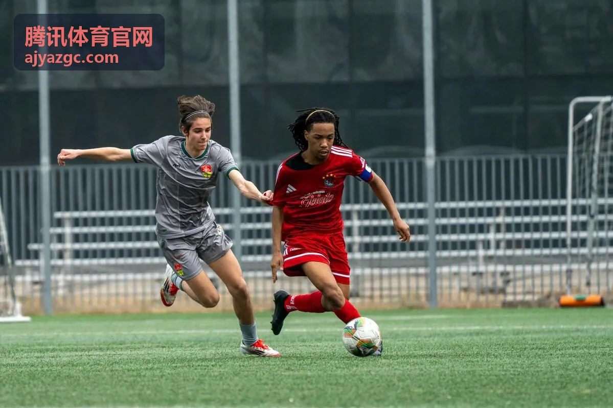 赞助商分析系统