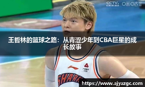 BB贝博艾弗森体育