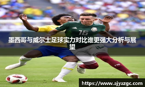 BB贝博艾弗森体育