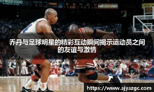 BB贝博艾弗森体育