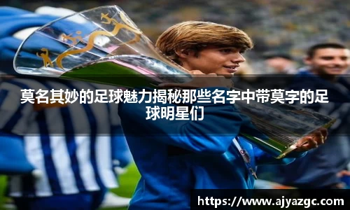 BB贝博艾弗森体育