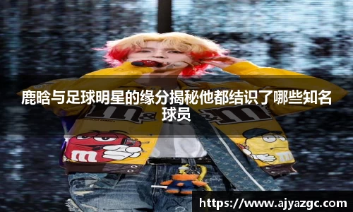 BB贝博艾弗森体育